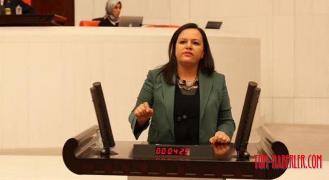 AK Parti Milletvekili Ök: Önceliğimiz, kadın politikalarının doğru anlatılmasıdır