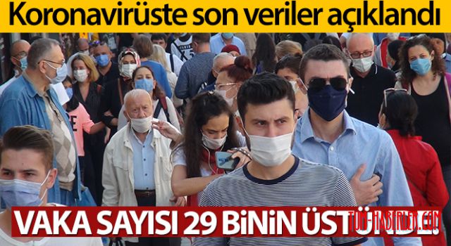 Türkiye'de son 24 saatte 29.058 koronavirüs vakası tespit edildi