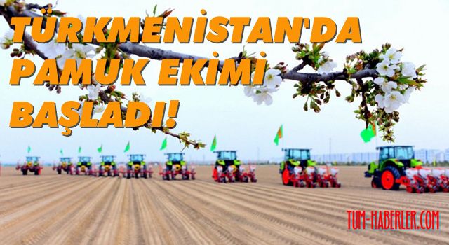 Türkmenistan’da pamuk ekimi başladı