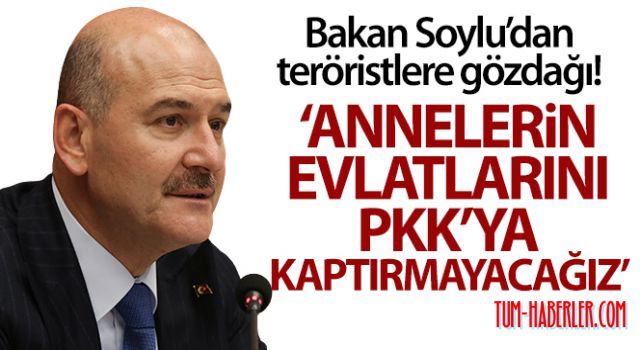 Soylu: Annelerin evlatlarını PKK'ya kaptırmamaya kararlıyız