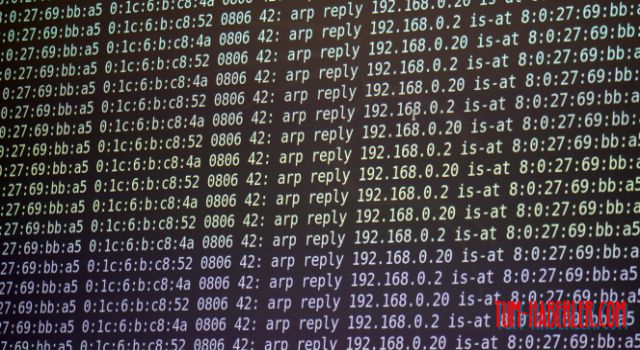 Almanya'da internet üzerinden işlenen suçlara 2 yıl hapis istenebilecek