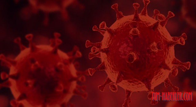 Yeni mutasyon: 18 türün birleşiminden oluşuyor