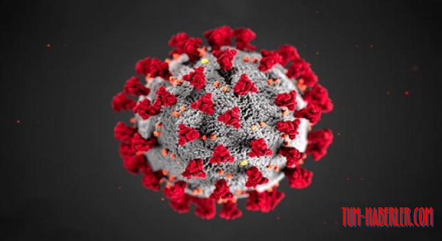 Sağlık Bakanlığı personelinin skandal partisi