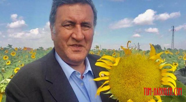 CHP Milletvekili Gürer: AKP’nin ithalat sevdası, vatandaşı ayçiçeği yağına muhtaç etti