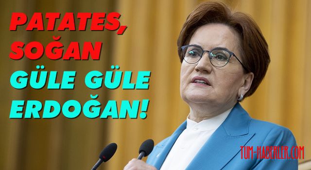 Akşener: Beceriksizliğinin hesabını vereceksin!