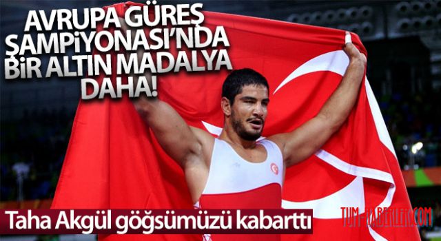 Taha Akgül 8. kez Avrupa şampiyonu
