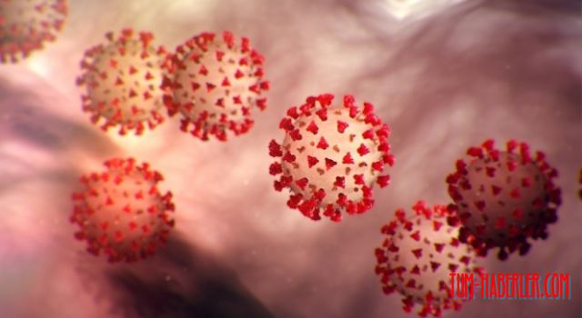 Japonya'da Kovid-19 salgınında "çifte mutasyon" alarmı