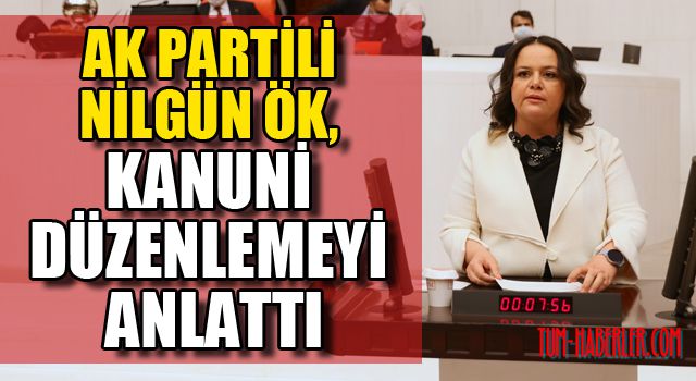 Milletvekili Nilgün ÖK, Kanun Hakkında Değerlendirmelerde Bulundu