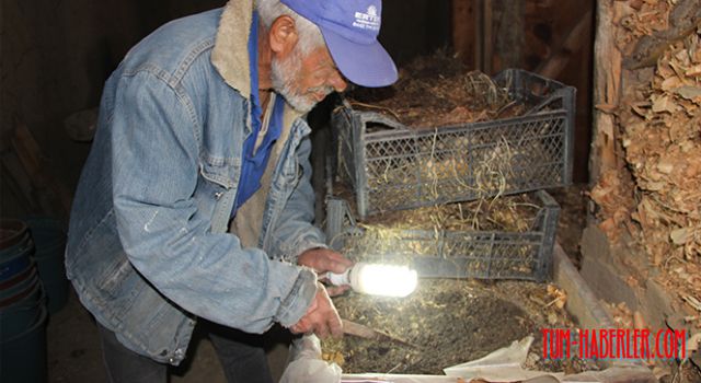 Ürettiği solucan gübresini bedava dağıtıyor