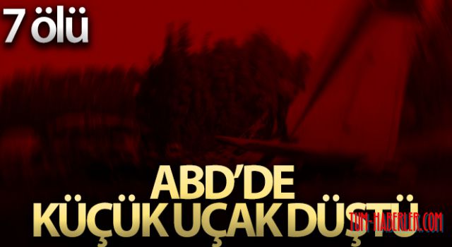 ABD'de küçük uçak düştü: 7 ölü