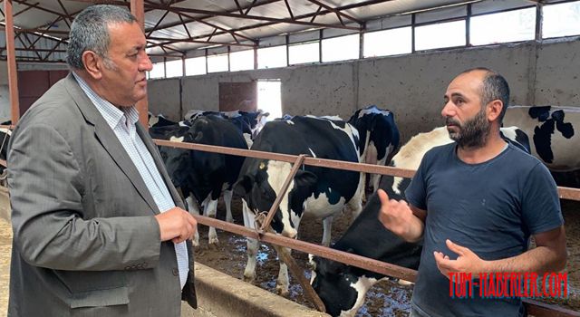 CHP Milletvekili Gürer: Besici, süt ineklerini gözyaşları ile  kesime gönderiyor