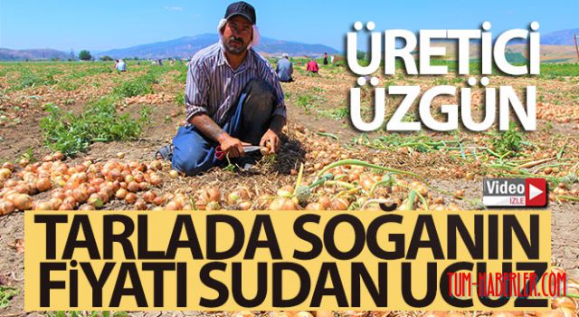 Tarlada soğanın fiyatı sudan ucuz