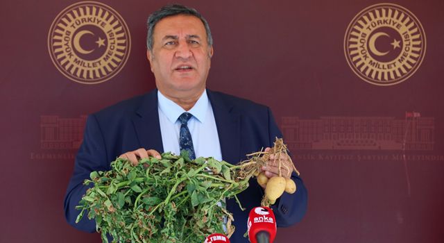 Gürer: Patates tarlada 50 kuruş, markette 3 lira