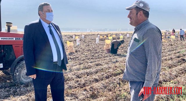 Gürer: Kuru fasülye tarlada 7, rafta 18 TL!