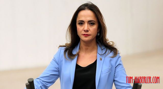 CHP Milletvekili İlgezdi: Göç ve Entegrasyon Bakanlığı kurulsun