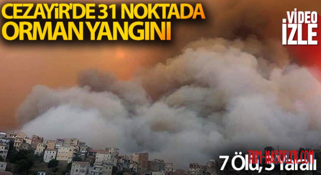 Cezayir'de 31 noktada orman yangını çıktı: 7 ölü, 3 yaralı
