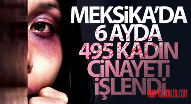 Meksika'da 6 ayda 495 kadın cinayeti işlendi