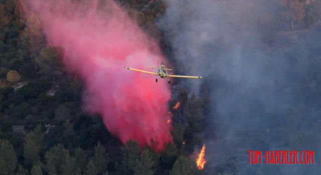 Kudüs'teki orman yangınında 25 bin dönüm alan kül oldu