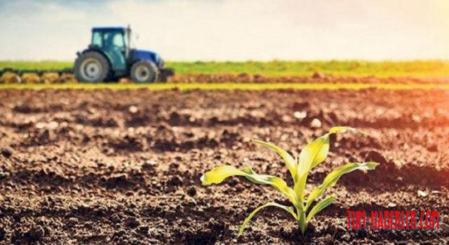 Tarımsal girdi fiyatları bir yılda yüzde 28 yükseldi