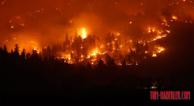 California'nın en büyük ikinci yangını 705 bin dönümlük alanı küle çevirdi