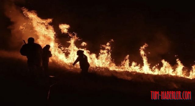 Brezilya'da dilek fenerinin düştüğü parkta yangınla mücadele sürüyor