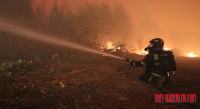 Rusya'daki orman yangınları yerleşim alanlarına sıçradı