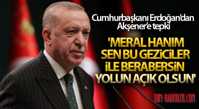 Cumhurbaşkanı Erdoğan'dan Meral Akşener'e açıklama