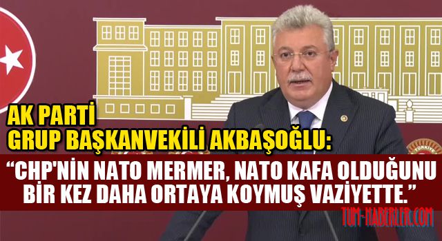 AK Parti Grup Başkanvekili Akbaşoğlu: Türkiye’de hiçbir etnik sorun bulunmamaktadır
