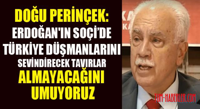 Perinçek, Soçi zirvesini değerlendirdi
