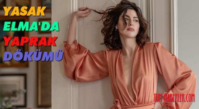 Nesrin Cavadzade Yasak Elma dizisinden ayrılıyor!