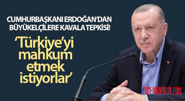 Cumhurbaşkanı Erdoğan'dan büyükelçilere Kavala tepkisi