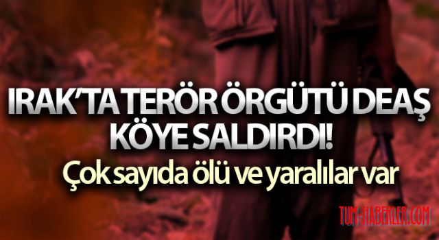 Irak'ta terör örgütü DEAŞ saldırısı