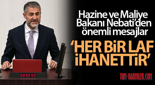 Bakan Nebati:Asılında bu değişim normalleşme