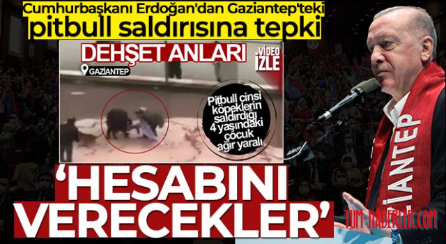 Erdoğan: 'Yavrumuz için gereken yapılacak, hesabını verecekler'