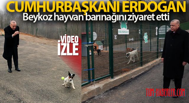 Cumhurbaşkanı Erdoğan, Beykoz hayvan barınağını ziyaret etti