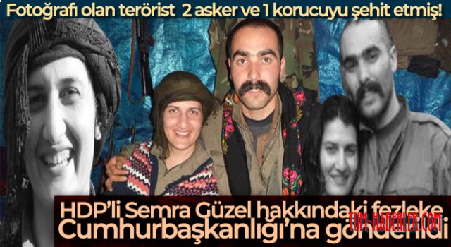 HDP'li Semra Güzel hakkındaki fezleke Cumhurbaşkanlığı'na gönderildi
