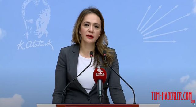 CHP Milletvekili İlgezdi: Gerçek ölüm sayısı yaklaşık 185 bin!