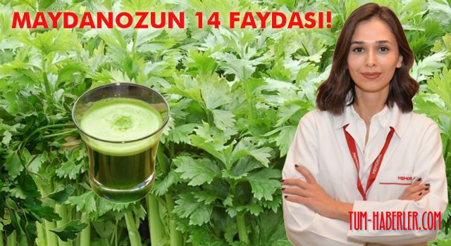 Diyetisyen Sinem Türkmen maydanozun 14 faydasını anlattı