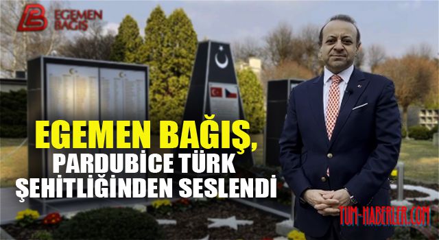 Egemen Bağış, Pardubice Türk şehitliğinden seslendi
