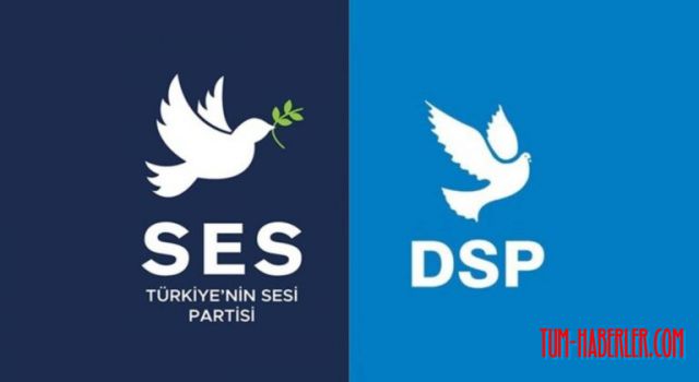 SES Partisi logosunu değiştirecek!