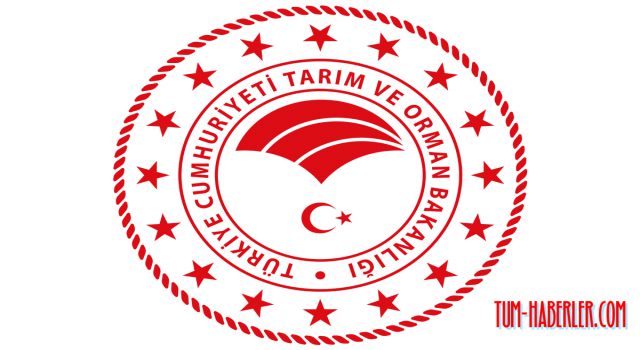 Bakan Yardımcılarına yönelik atama kararları Resmi Gazete'de