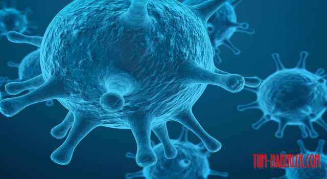 İsrail'de ilk maymun çiçeği vakası