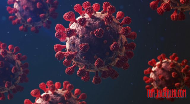 Maymun çiçeği virüsü İsviçre'ye sıçradı