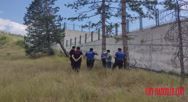 Melikgazi'de ağaca asılı erkek cesedi bulundu
