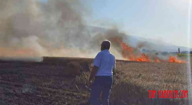 İnegöl'de 50 dönüm ekili buğday tarlasında yangın çıktı