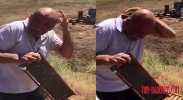 Erzurumlu vatandaşın arılarla imtihanı izleyenleri güldürdü