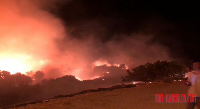 Çeşme'de otluk alanda yangın çıktı