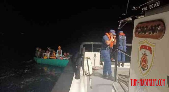 49 düzensiz göçmen yakalandı