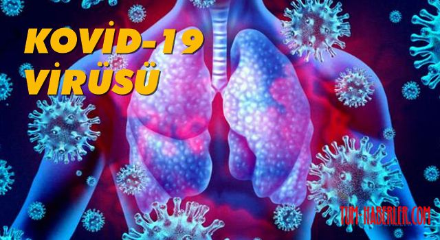 Kovid-19 virüsünün hedefi akciğer ve kalp