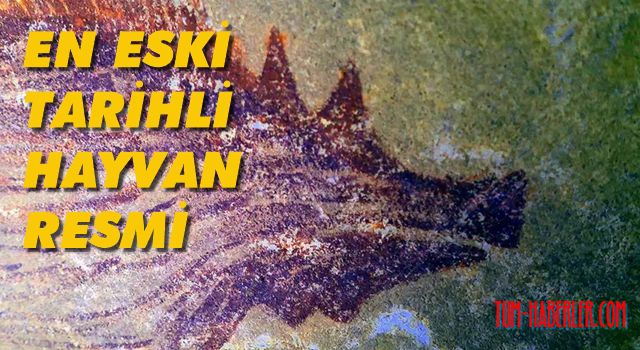 En eski tarihli hayvan resmi Endonezya'da bulundu